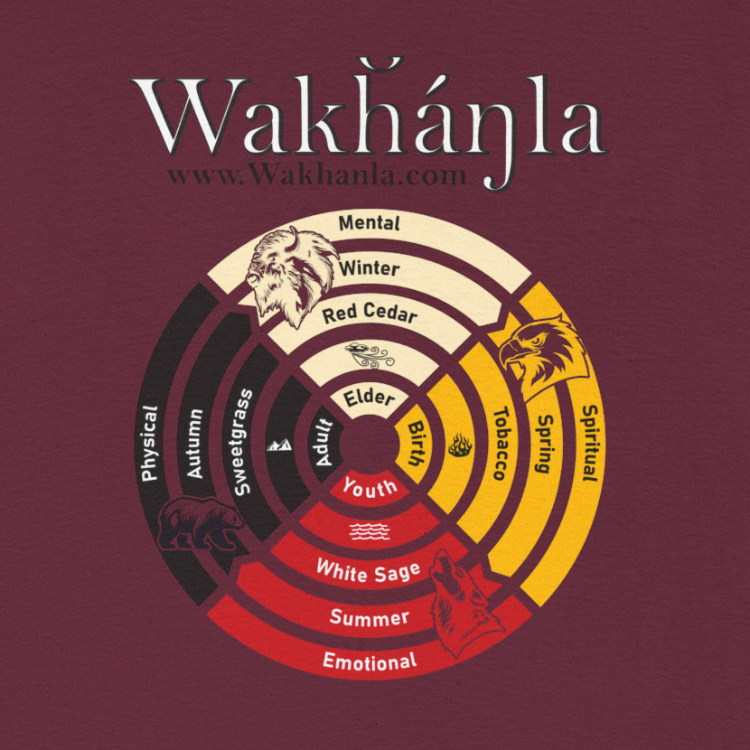 Medicine Wheel Concentric Tee — Sacred Four Teachings Cotton Shirt