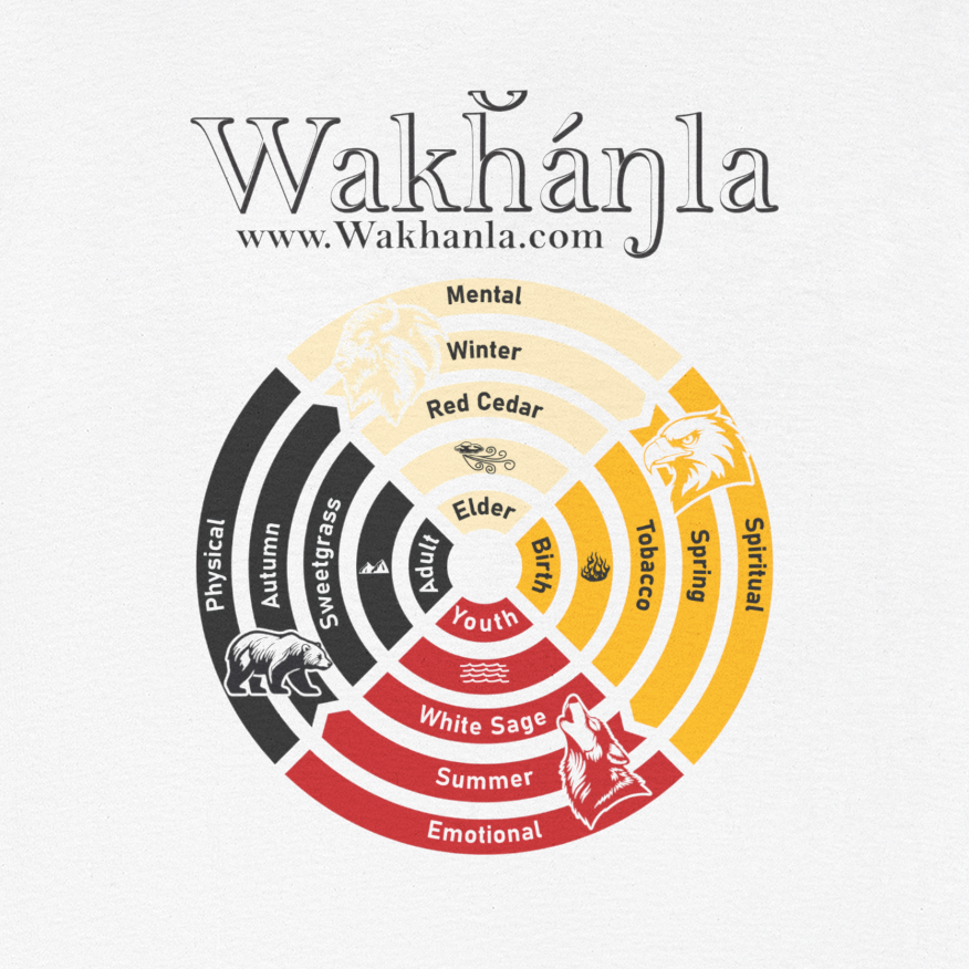 Medicine Wheel Concentric Tee — Sacred Four Teachings Cotton Shirt