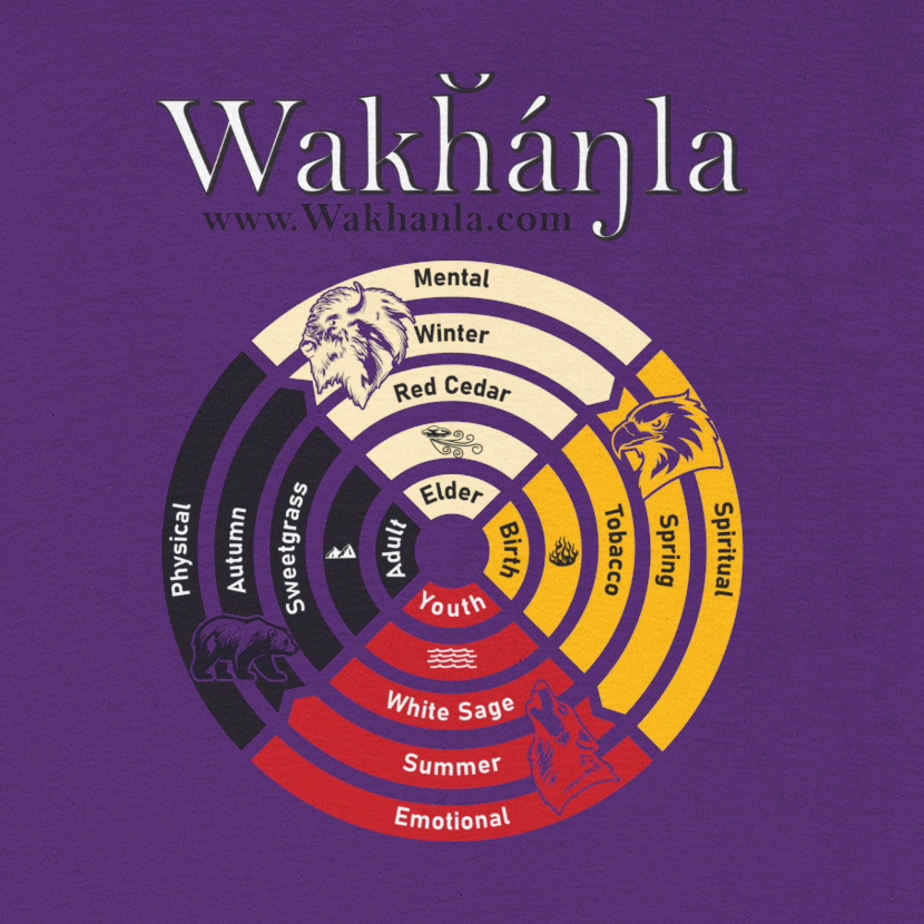 Medicine Wheel Concentric Tee — Sacred Four Teachings Cotton Shirt