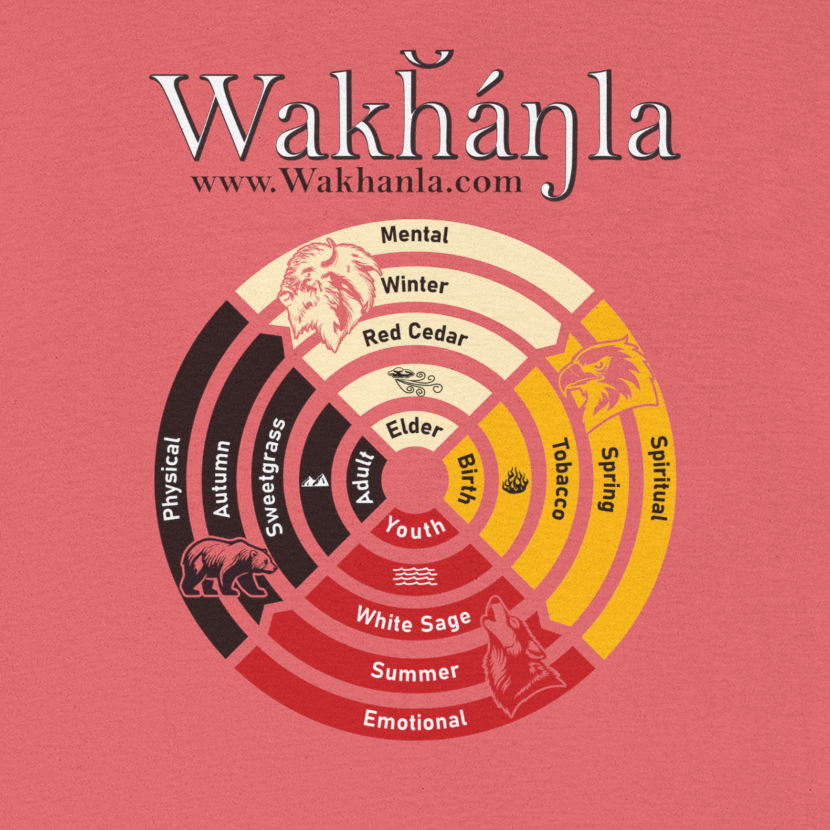 Medicine Wheel Concentric Tee — Sacred Four Teachings Cotton Shirt