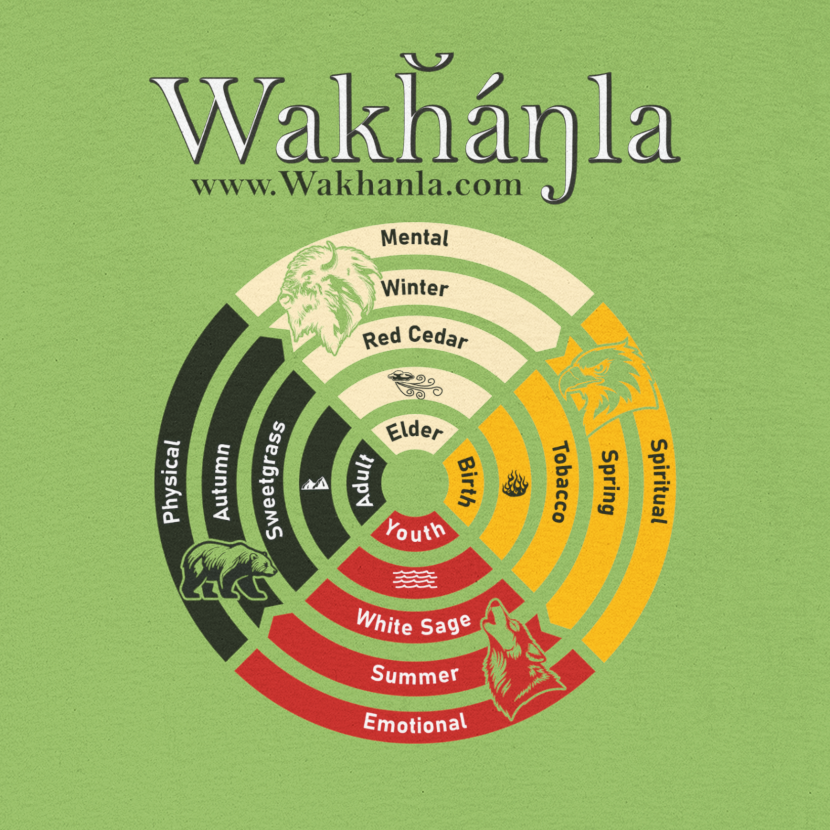 Medicine Wheel Concentric Tee — Sacred Four Teachings Cotton Shirt