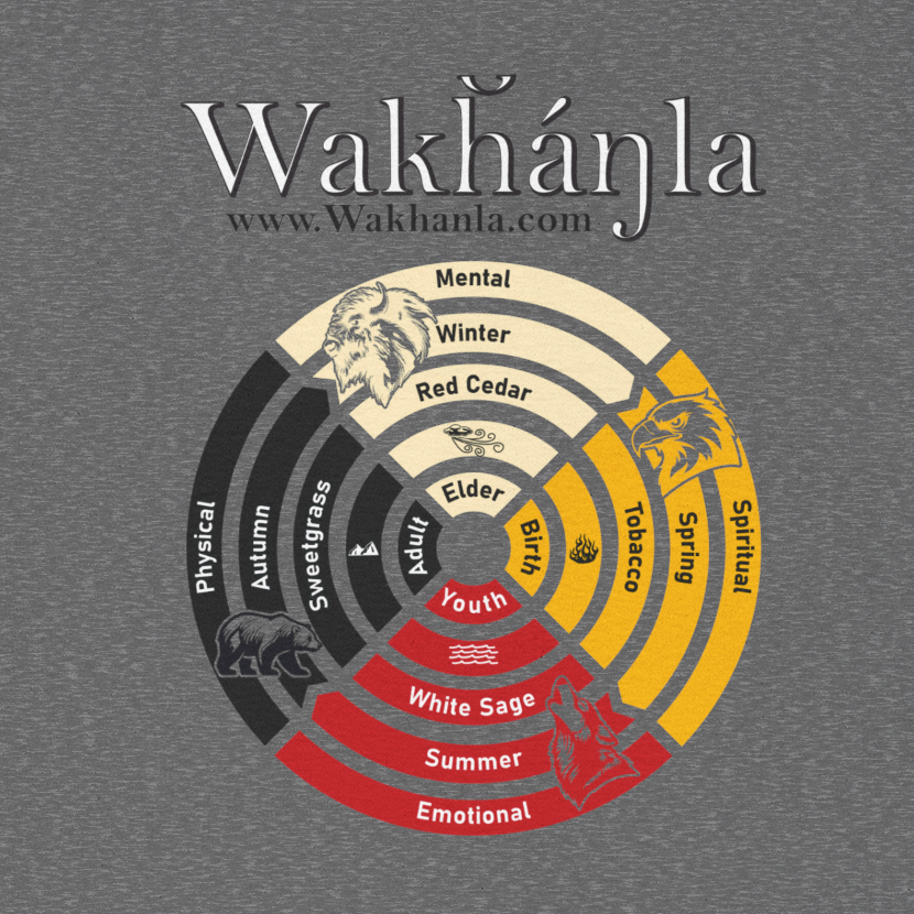 Medicine Wheel Concentric Tee — Sacred Four Teachings Cotton Shirt