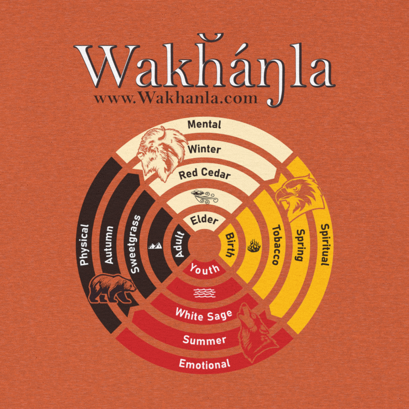 Medicine Wheel Concentric Tee — Sacred Four Teachings Cotton Shirt
